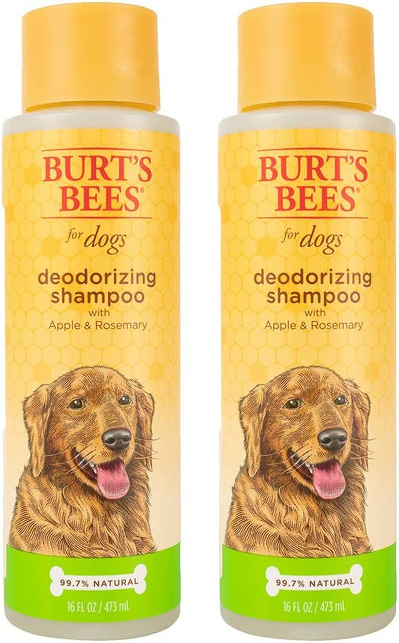 Deodorizing Dog Shampoo Apple Rosemary 95 Percent Natural Ph Balanced Sulfate-Free Smelly Dogs 16 FL OZ 2 Pack