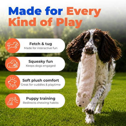 Squeaky Dog Toys with Soft Durable Fabric for Small, Medium and Large Pets Interactive Toy for Indoor Play, Supports Active Biting and Play - Hare, Medium