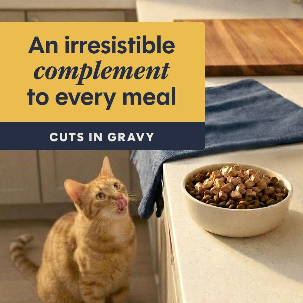 Healthy Cravings Grain Free Real Chicken Recipe Natural Wet Cat Food Topper by Nature'S Variety, 3 Ounce (Pack of 24)